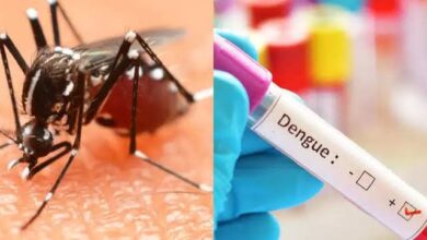 Photo of नागपूर में डेंगू का प्रकोप बढ़ा, उमरेड और खापरखेड़ा में 2 की मौत