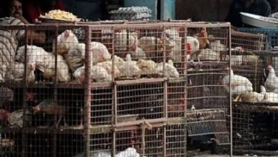 Photo of नागपूर में 4 और 10 सितंबर को मांस बिक्री की दुकानें बंद