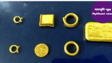 Photo of वर्ध्यात सापडला मुघलकालीन सोन्याचा खजिना; खोदकामावेळी सापडलं नाण्यांसह 4 किलो सोनं