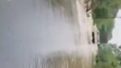Photo of उमरेड यवतमाल में बस डूबी,देखे वीडियो